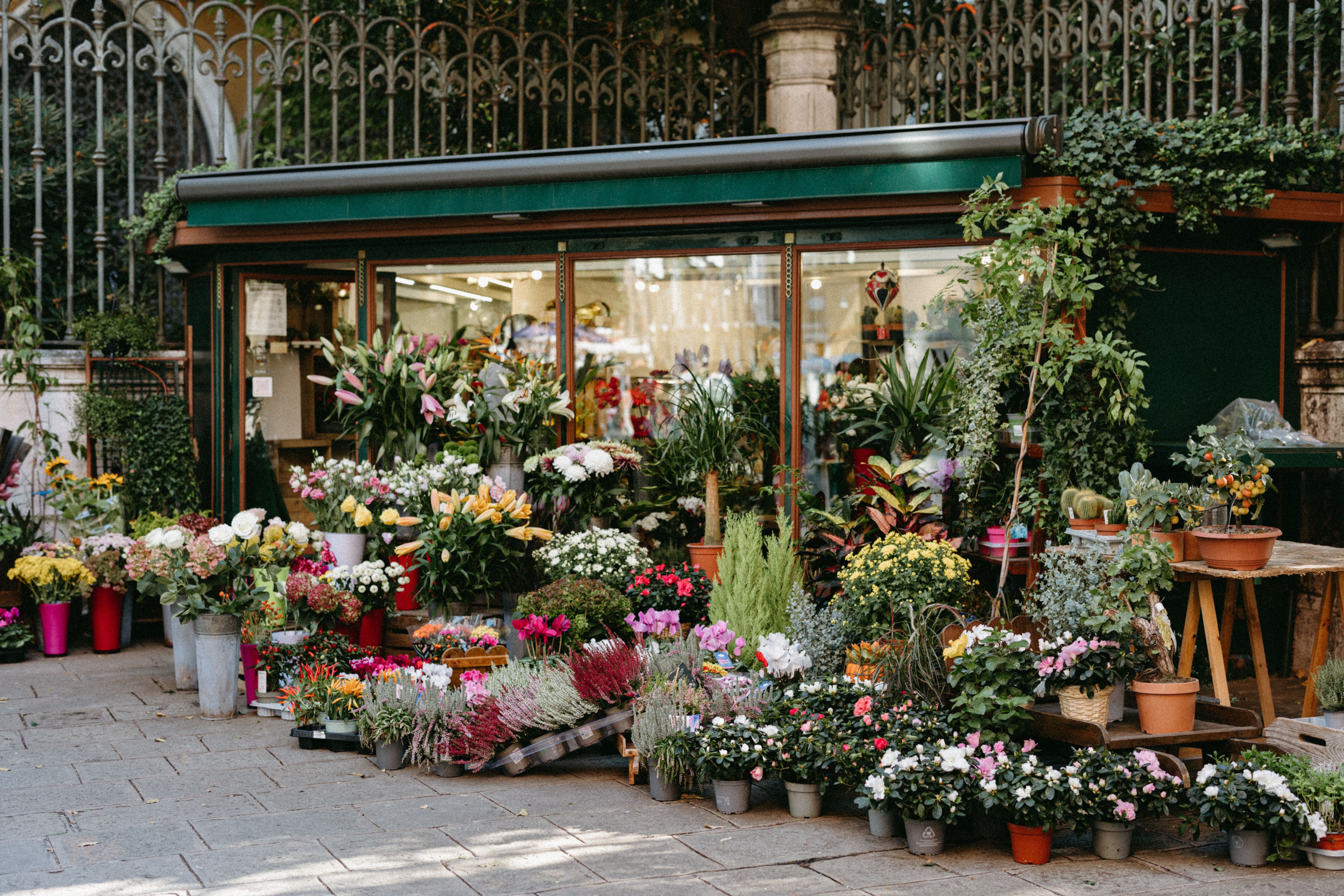 Beautiful flower shop interior
